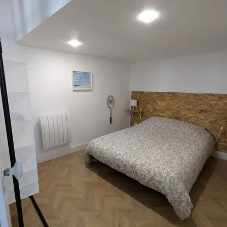 Cosy Et Atypique Rdc Centre *