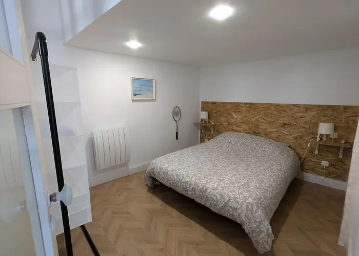 Cosy Et Atypique Rdc Centre *